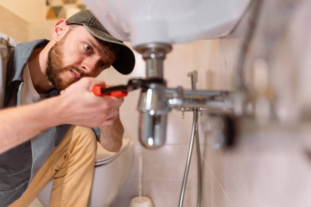 Best Commercial Plumbing Services  in Haubstadt, IN