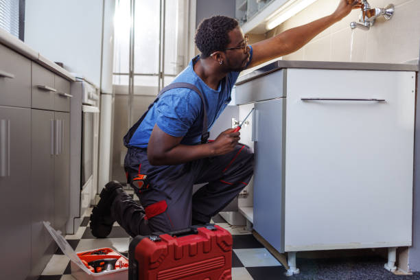 Best Plumbing Services Near Me  in Haubstadt, IN